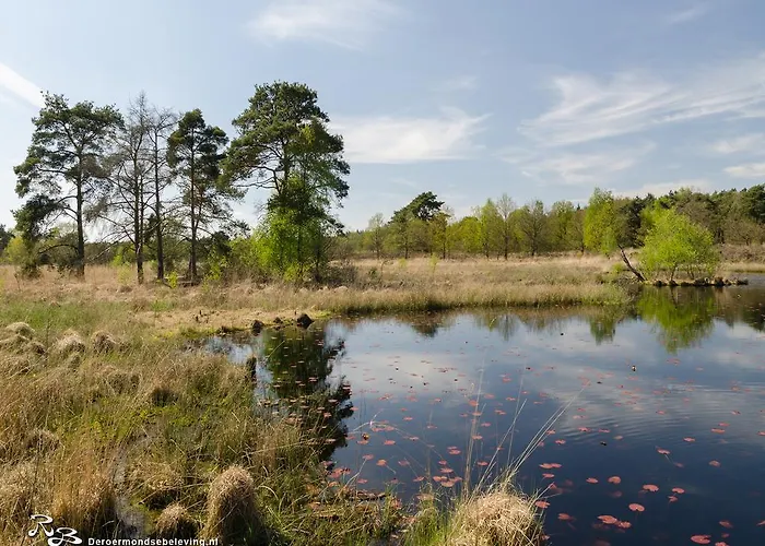 De Roermondse Beleving Roermond